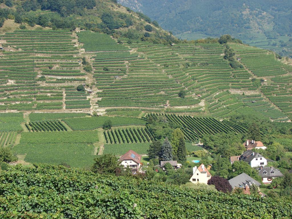 Hotel Gastehaus Weinbergblick Spitz an der Donau Exteriér fotografie