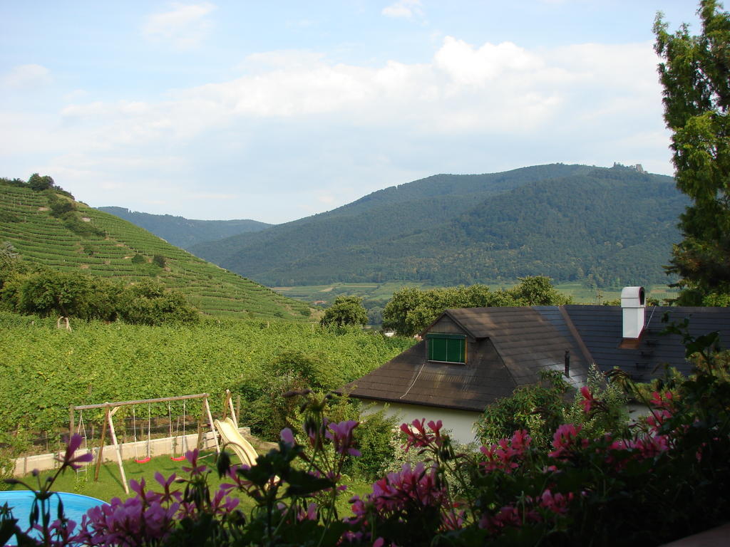 Hotel Gastehaus Weinbergblick Spitz an der Donau Pokoj fotografie